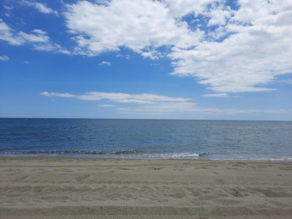 Appartement Vue Mer, Acces Direct Plage, Parking Privatif Le Barcarès エクステリア 写真